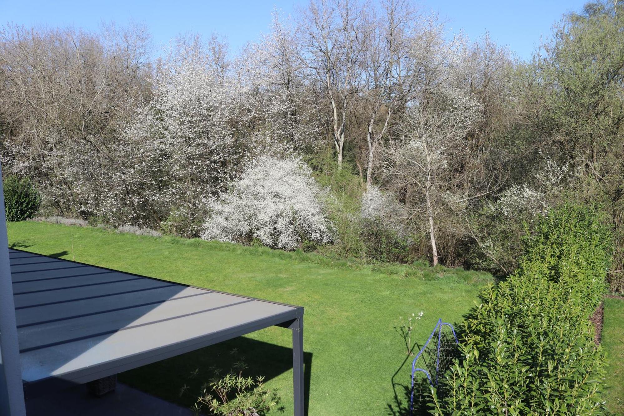 Ferienwohnung Nalbach Wohnung 1 Exteriör bild